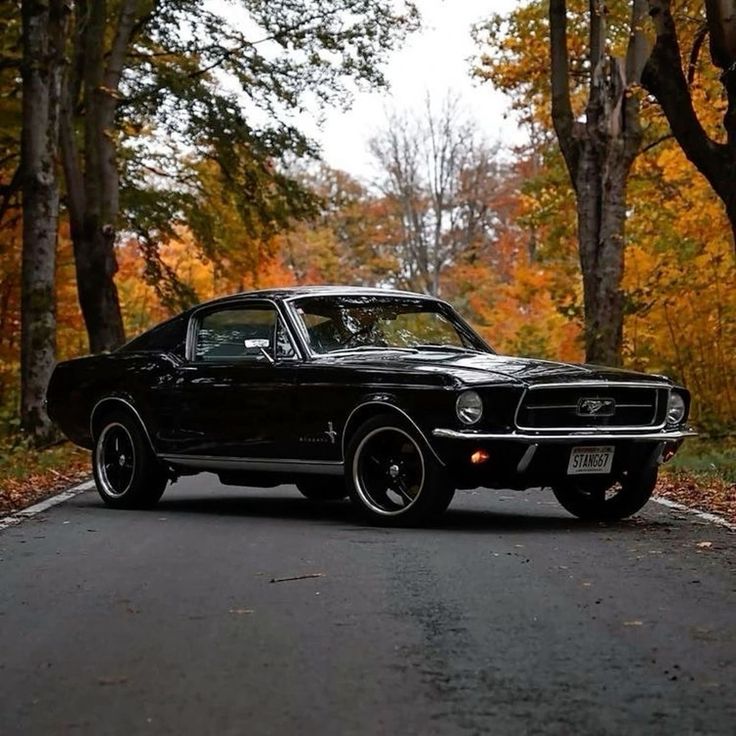 an old muscle car is parked on the side of the road in front of some trees