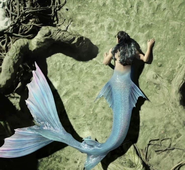 a mermaid is laying on the sand with her tail spread out