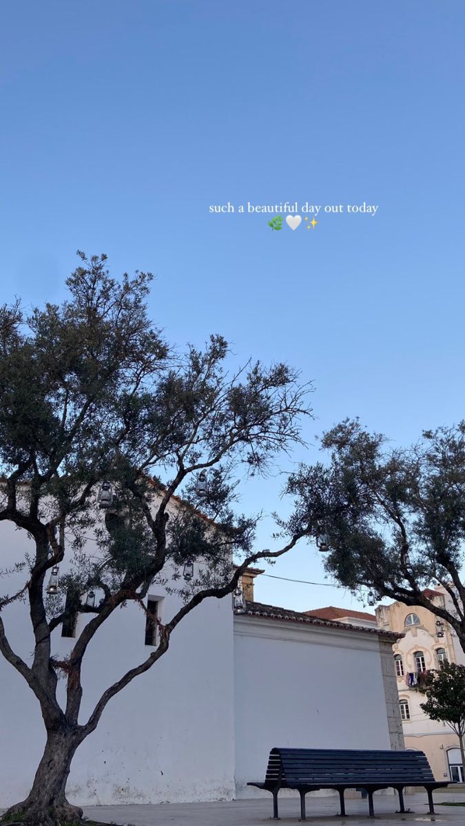 a bench sitting under a tree in front of a white building with blue sky behind it