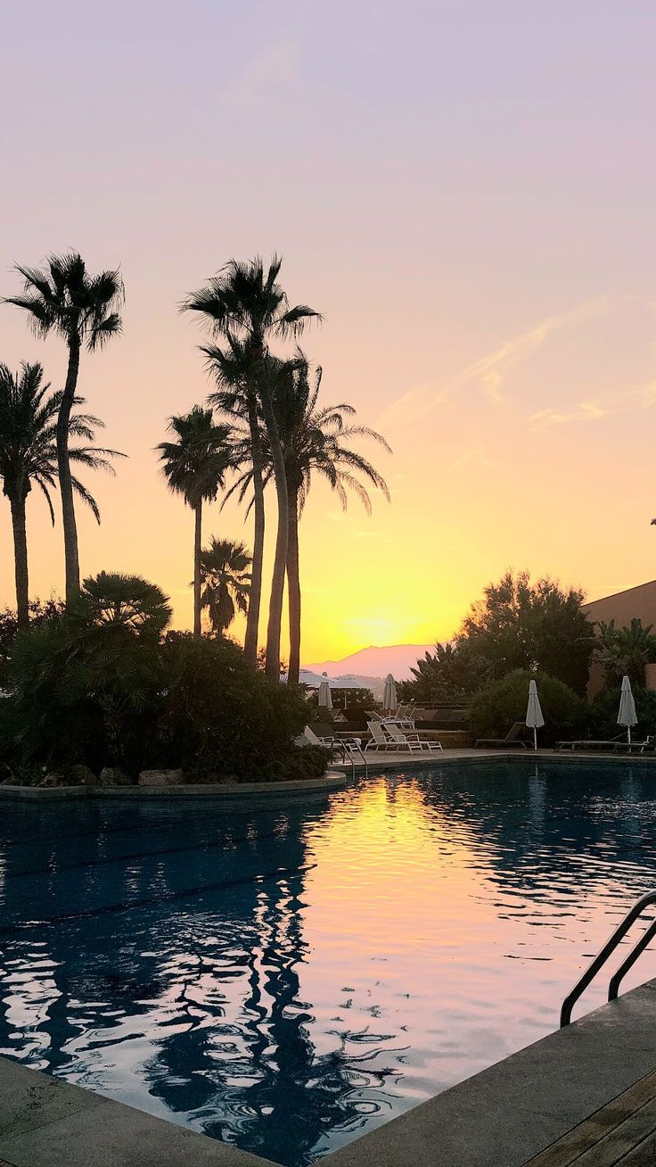 an empty swimming pool with palm trees and the sun setting in the distance behind it