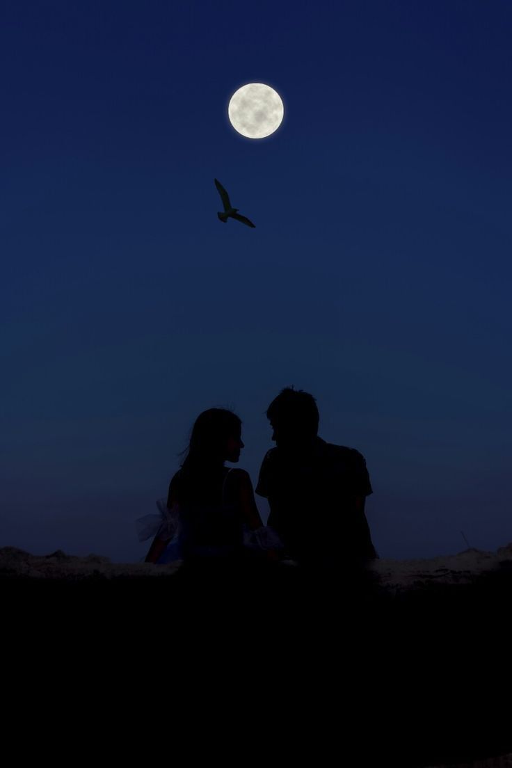 two people sitting in the sand under a full moon with a bird flying over them