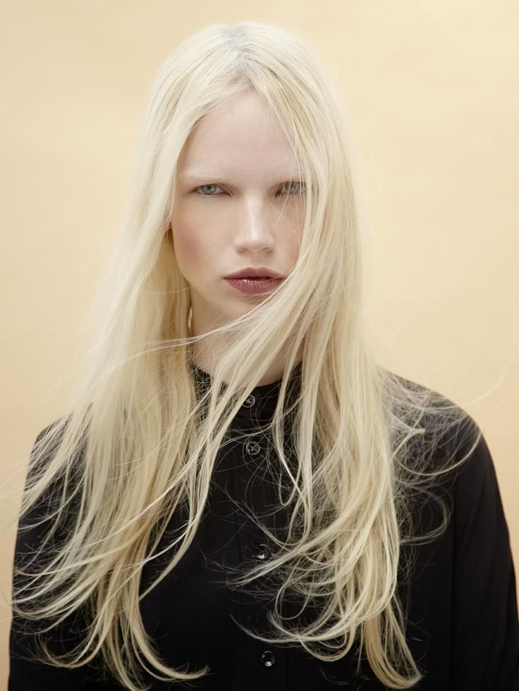 Fair hair, fair brows. Nordic Blonde Hair Natural, Super Blonde Hair, Nordic Blonde, Unusual Beauty, Hair Fair, Mode Editorials, Dyed Blonde Hair, Pale Blonde, Makeup Board