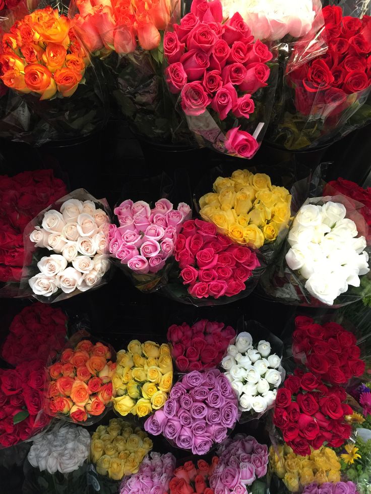 many different colored roses are on display for sale