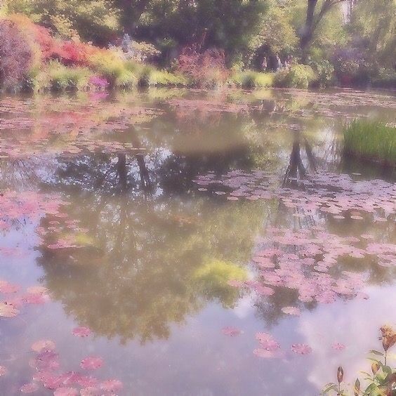 beauty flowers nature fairy magical aesthetic ethereal love stunning leaves forest plants unreal inspo coquette cottage core lake Cottagecore Kawaii, Pink Nature, Soft Pink Theme, Ethereal Aesthetic, Fairy Aesthetic, Pretty Landscapes, Pink Themes, Pretty Photos, Aesthetic Images