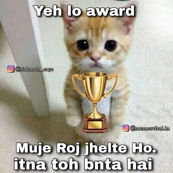 a kitten is holding up a trophy in front of the caption that says, yeh lo award muje roj heite ho tina ton bina hai hai hai