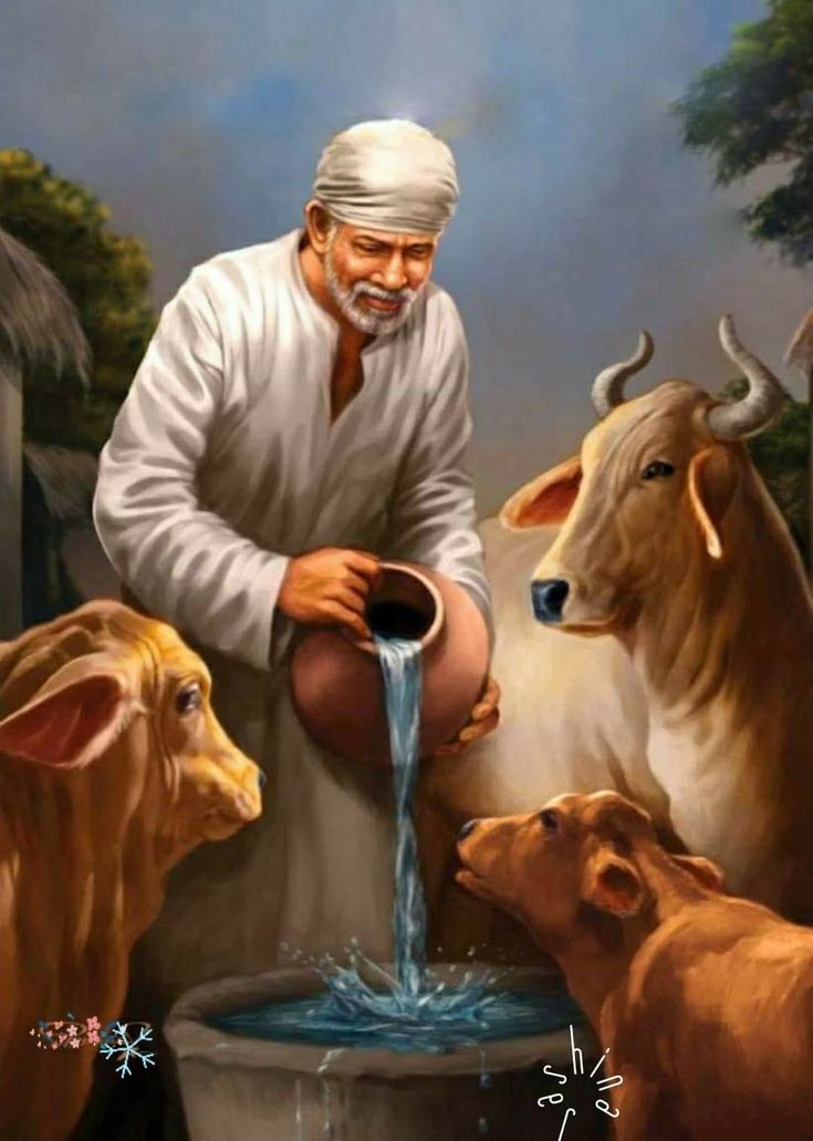 an old man sitting on top of a bucket filled with water surrounded by cows and bulls