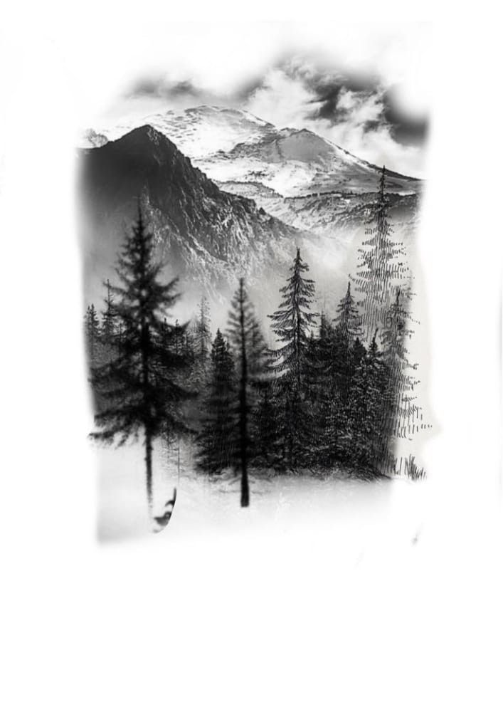 a black and white photo of trees in the snow with mountains in the back ground