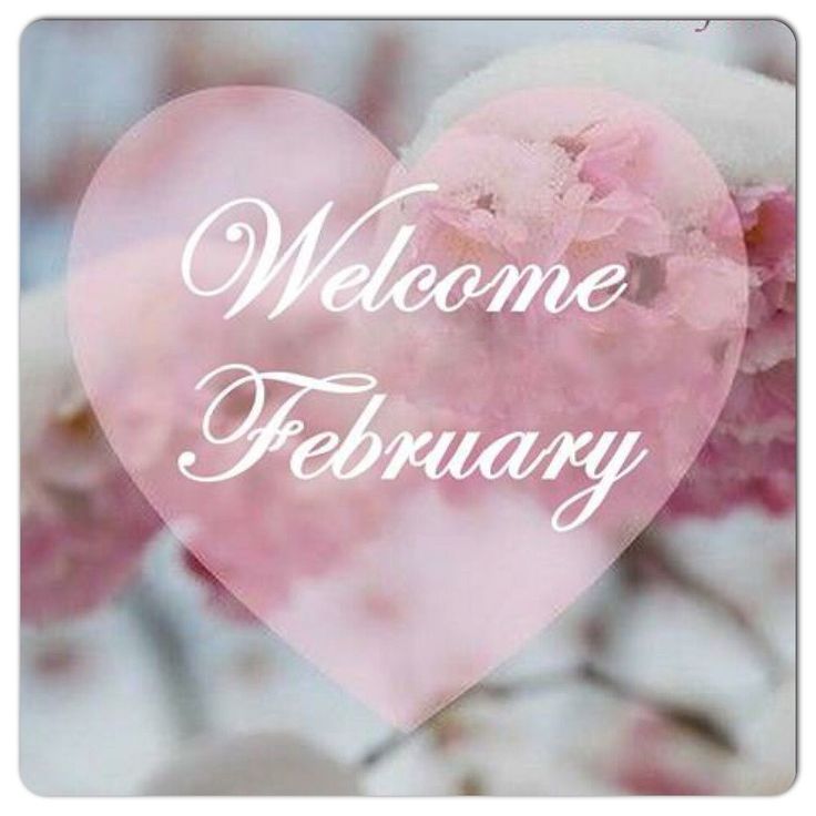 a pink heart with the words welcome february