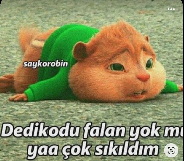 an image of a cat laying on the ground with caption in russian that reads, dedikodu falan yok mu ya yaya cok siki dim