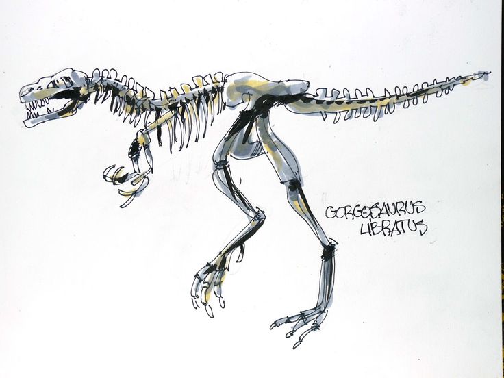 a drawing of a dinosaur skeleton with words written on the front and side of it