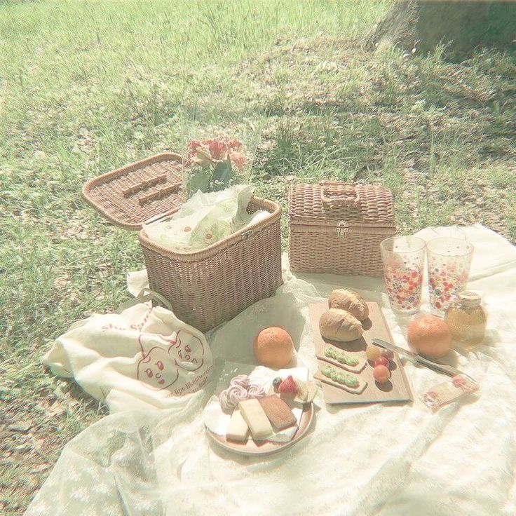 an image of picnic food on the grass