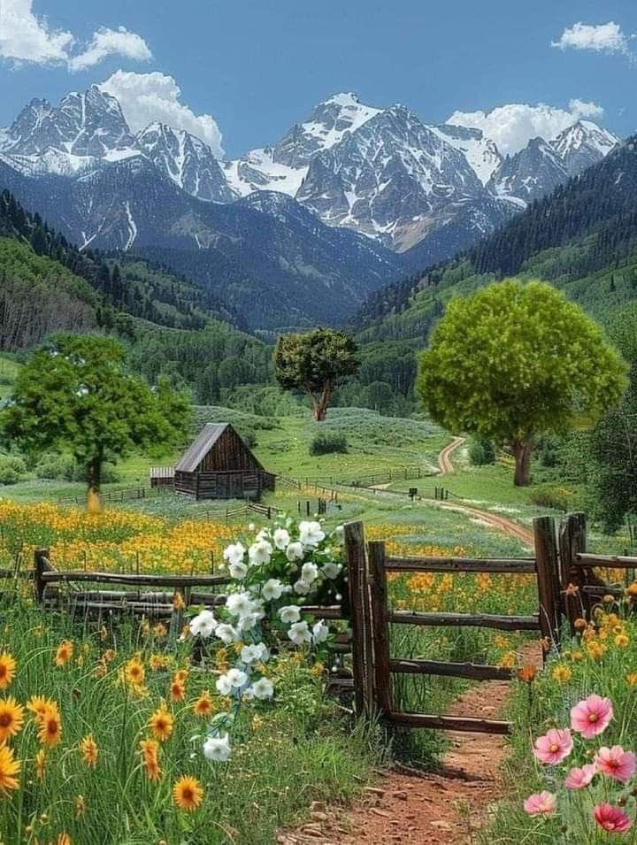 an open field with flowers and mountains in the backgrounnd, near a wooden fence