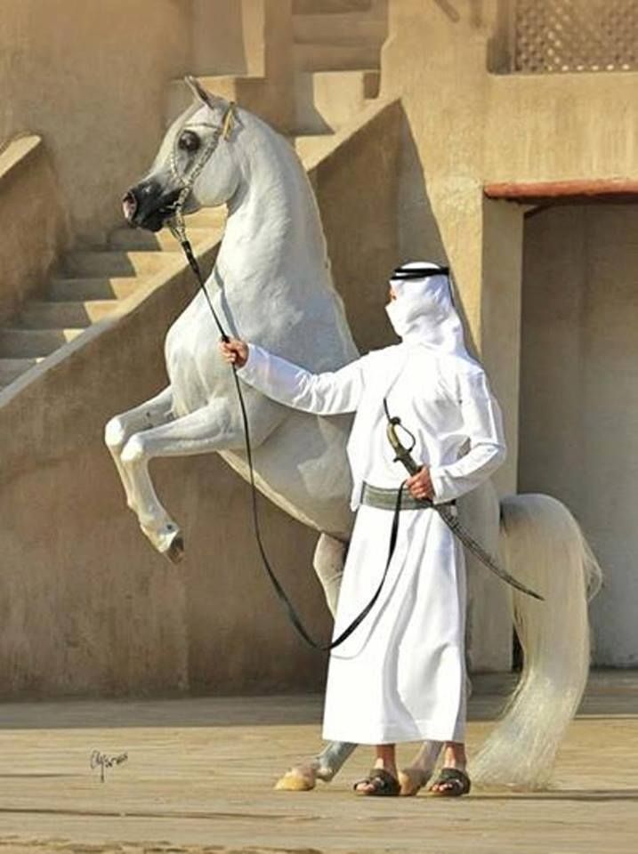 a man is standing next to a white horse in front of some steps and stairs