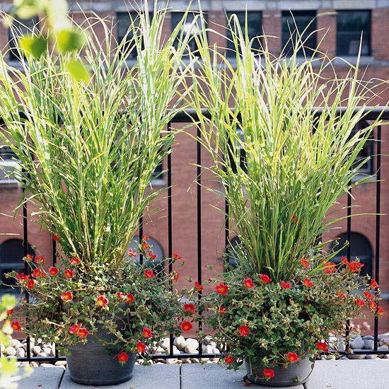 three potted plants are sitting on the side of a fence in front of a brick building