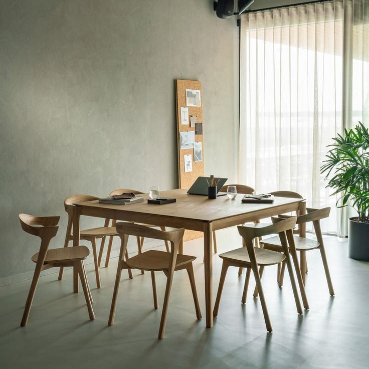 a dining room table with chairs and a potted plant in the corner next to it