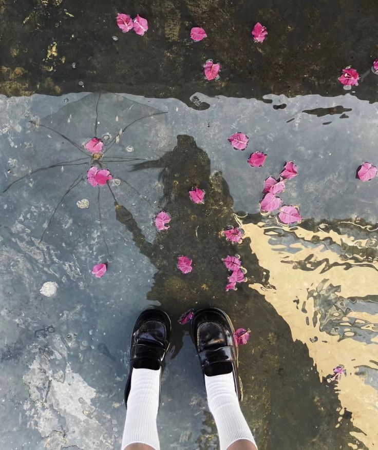 a person standing in front of water with pink flowers on the ground