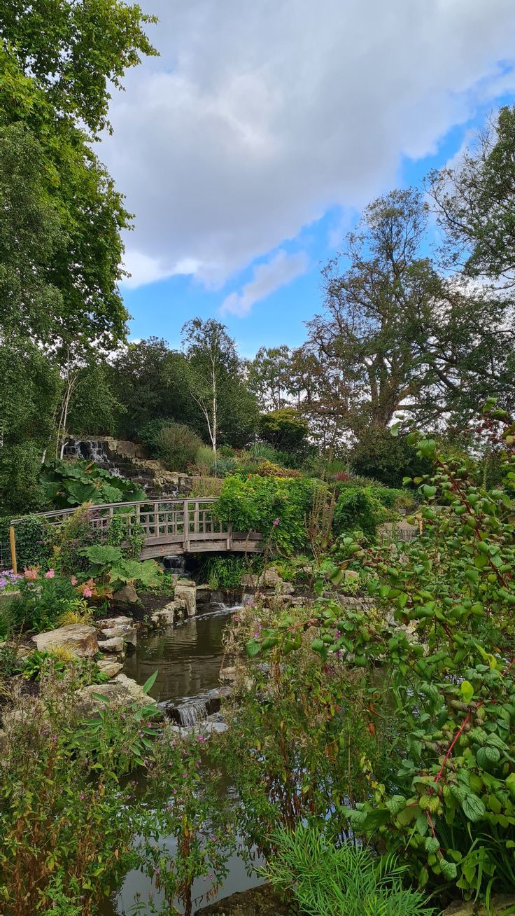 a wooden bridge over a small stream in a park with lots of trees and bushes