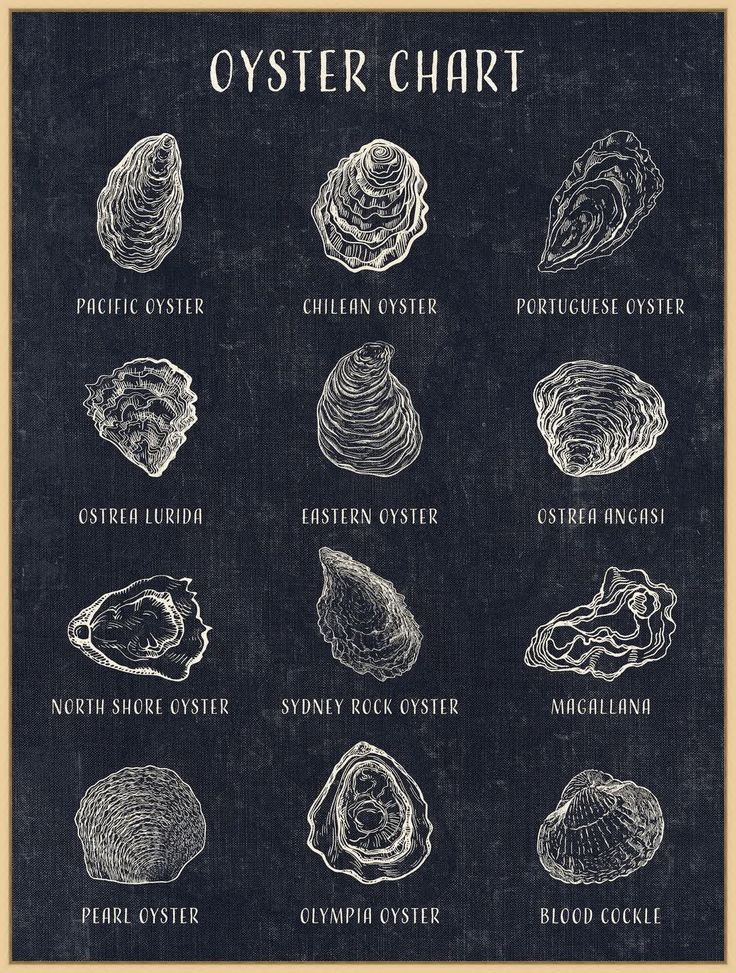 an oyster chart on a blackboard