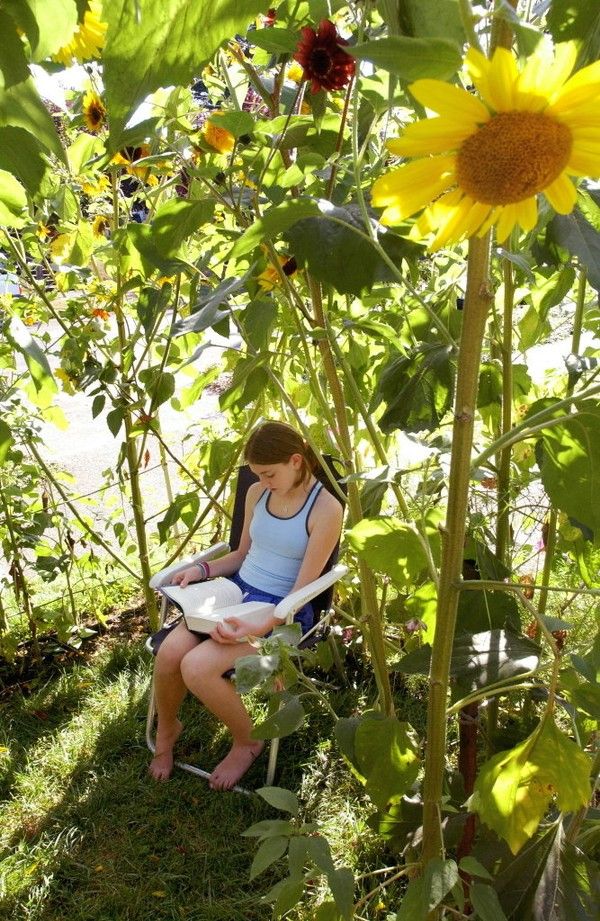 a woman sitting on a chair in the middle of a sunflower garden holding a frisbee