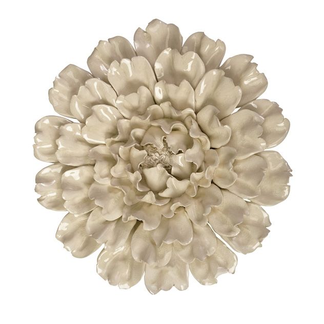 a large white flower on a white background