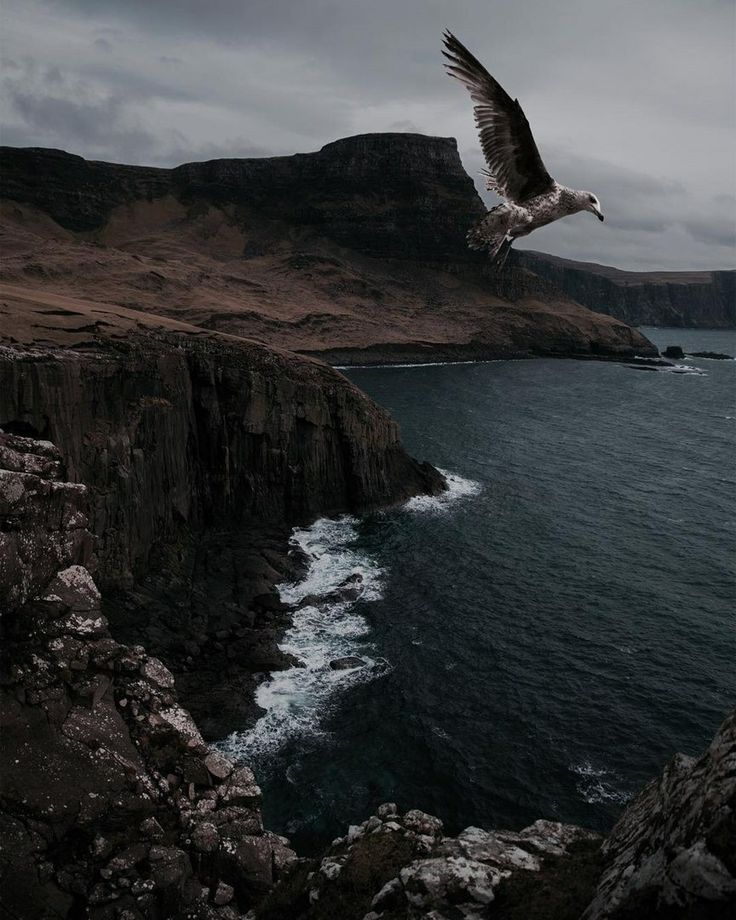 a seagull flying over the ocean on a rocky cliff by the water's edge