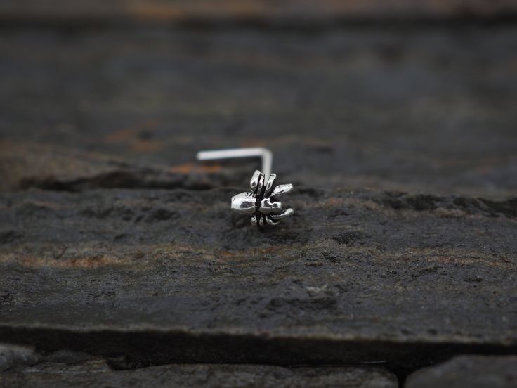 18 - 20 gauge Tiny Spider Silver Nose Stud. Left or right nostril screw end or L bend Size : 18 Gauge, 20 Gauge Tiny Spider Size : 4 mm x 5 mm Quantity : Single (1 piece) Material: 925 Sterling Silver, Oxidized If Your nose piercing is on the left that it's mean You choose the left L bend or left screw . Tiny Spiders, Tiny Nose Studs, Nose Screw, Pretty Ear Piercings, Insect Jewelry, Nose Jewelry, Nose Stud, Nose Ring Stud, Nose Piercing