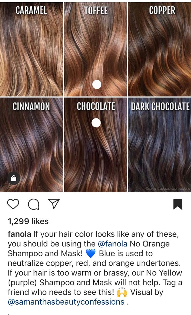 Toffee Highlights On Brown Hair, Hair Strips Color Highlights, Different Types Of Brown Hair Shades, Cooper Hair Color Highlights, Cooper Highlights On Brown Hair, Toffee Hair Color Brown, Toffee Brown Hair Color, Toffee Brown Hair, Brown Hair Chart