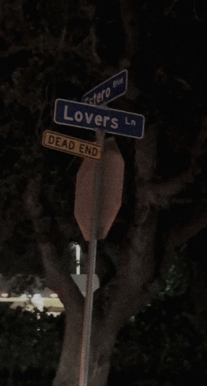 two blue street signs sitting on top of a pole next to a leafy tree