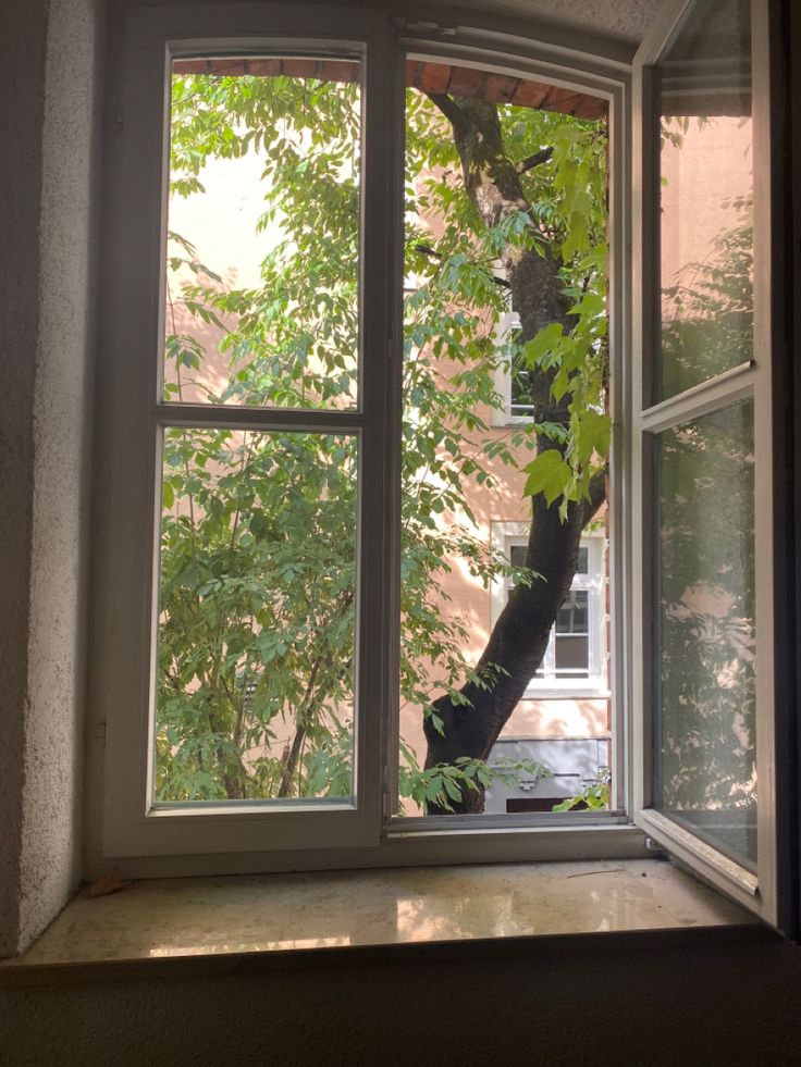 an open window with a tree in the background