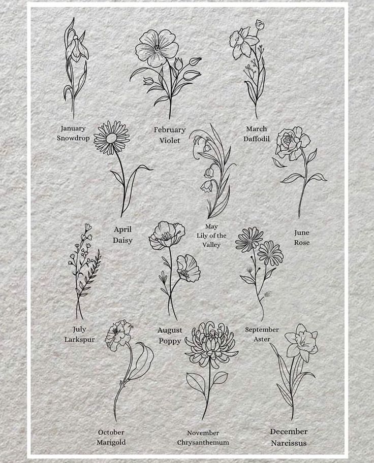 an image of flowers drawn on paper with the words, flower names and their meanings