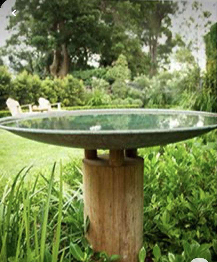 a birdbath in the middle of some bushes and grass with trees in the background