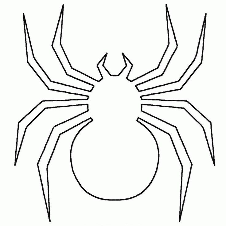 a black and white drawing of a spider