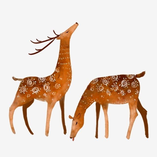 two deer standing next to each other on a white background