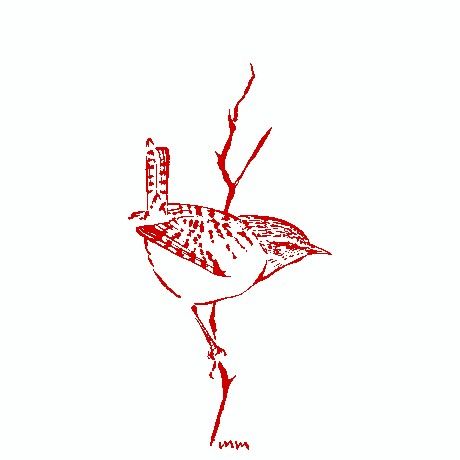 a red ink drawing of a bird sitting on a tree branch with the words,'i