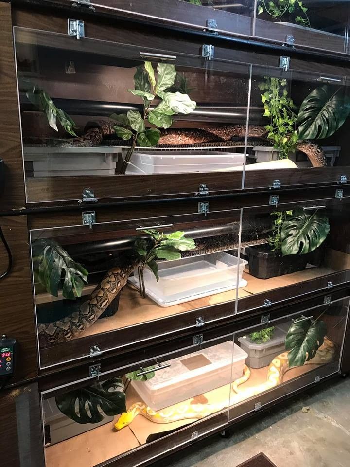 the shelves are filled with different types of plants and other things to see in them