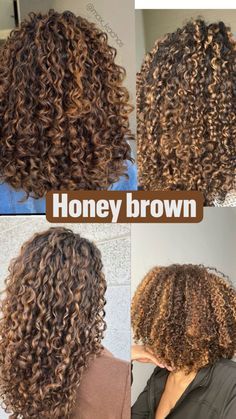 Best Highlights For Curly Brown Hair, Unique Highlights Curly Hair, Honey Brown On Natural Hair, Brown Hair Colors With Highlights Curly, Light Brown Hair Black Women Curls, Curly Honey Blonde Highlights, Honey Brown Hair Color Curly Hair, Mixed Curly Hair Blonde, Homey Brown Curly Hair