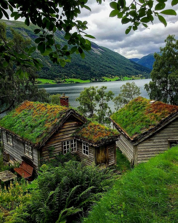 an old log cabin with green roof and moss growing on it's roof next to the water