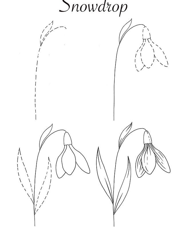 a drawing of snowdrop flowers with the words