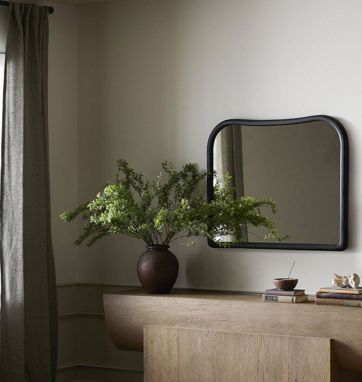 a plant in a vase sitting on top of a wooden table next to a mirror