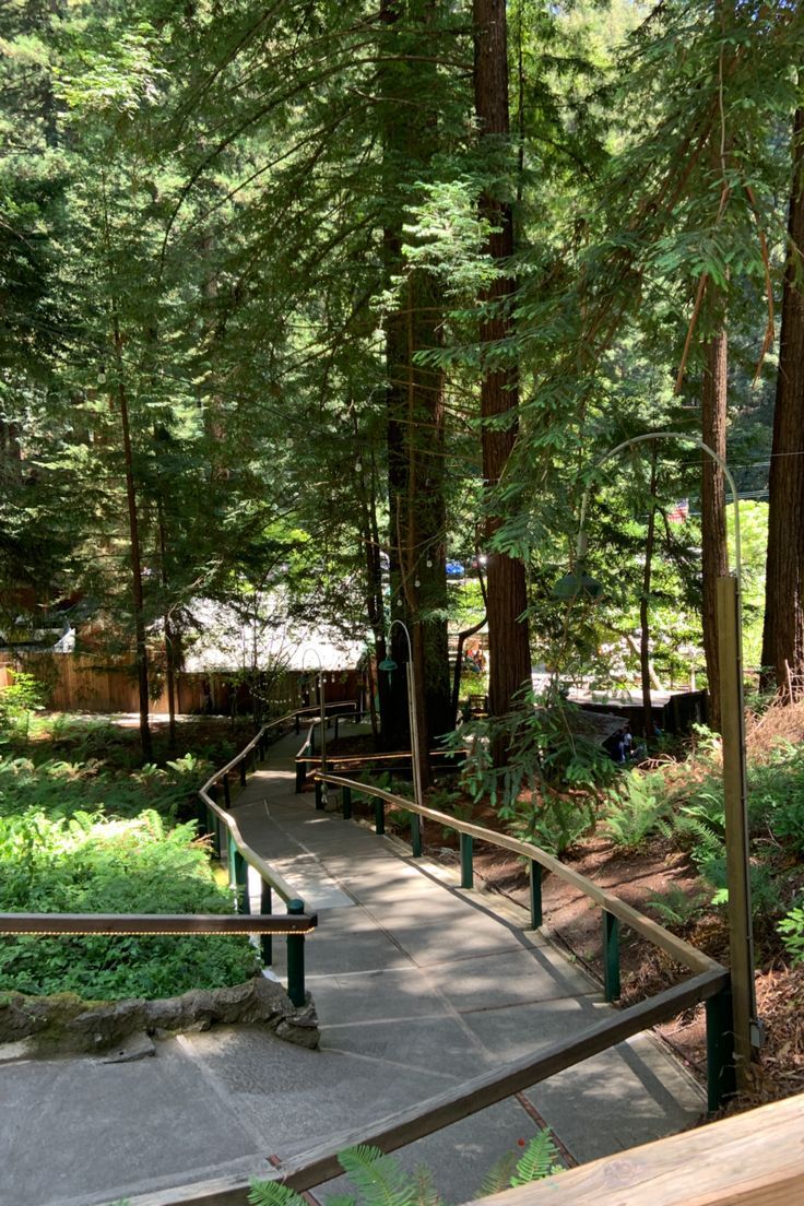 a wooden bench sitting next to a forest filled with lots of green plants and trees