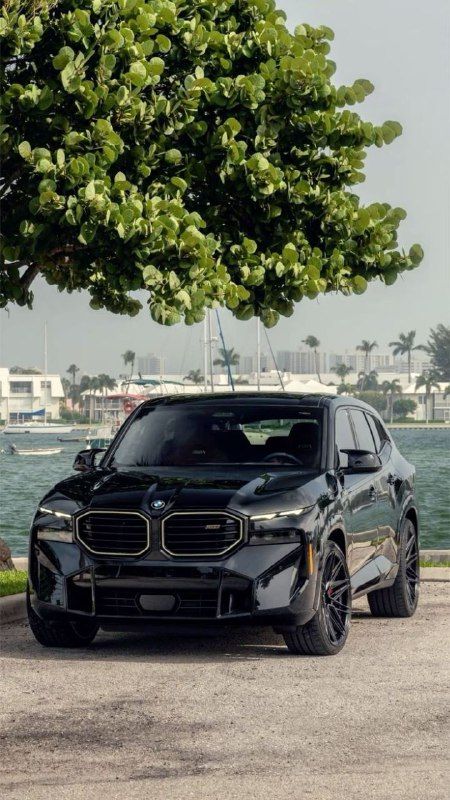 a black car parked under a tree next to the ocean