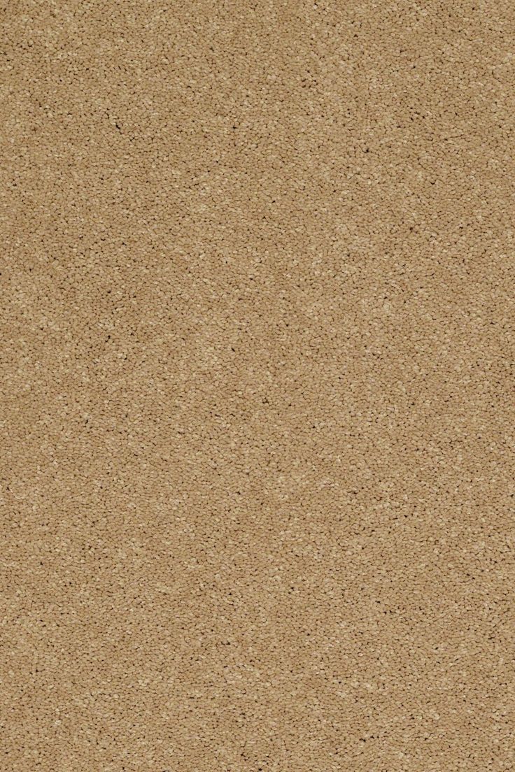 an image of a brown background that looks like sand