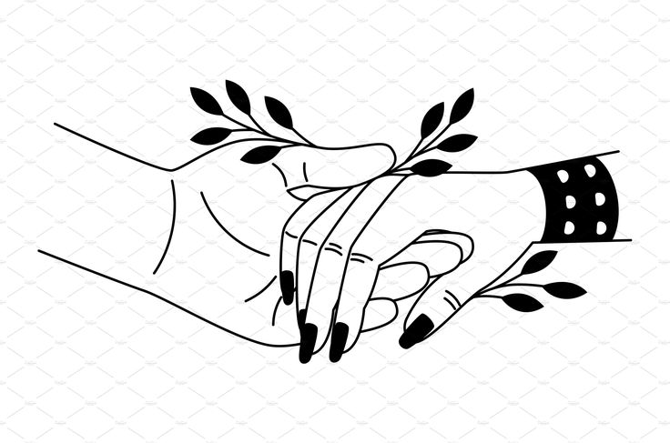 a black and white drawing of a hand holding an olive branch with leaves on it