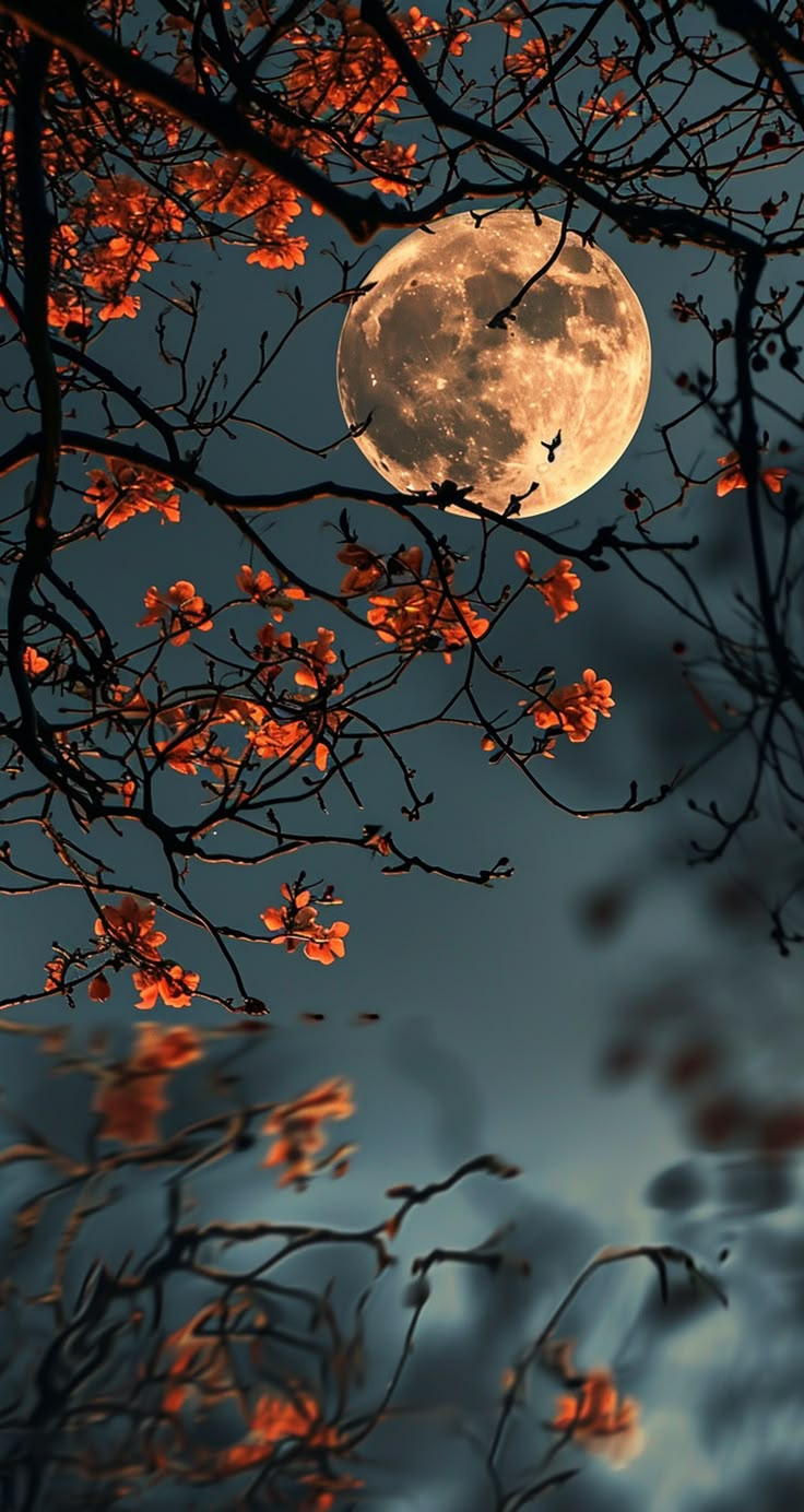 the full moon shines brightly through the branches of a tree with red flowers on it