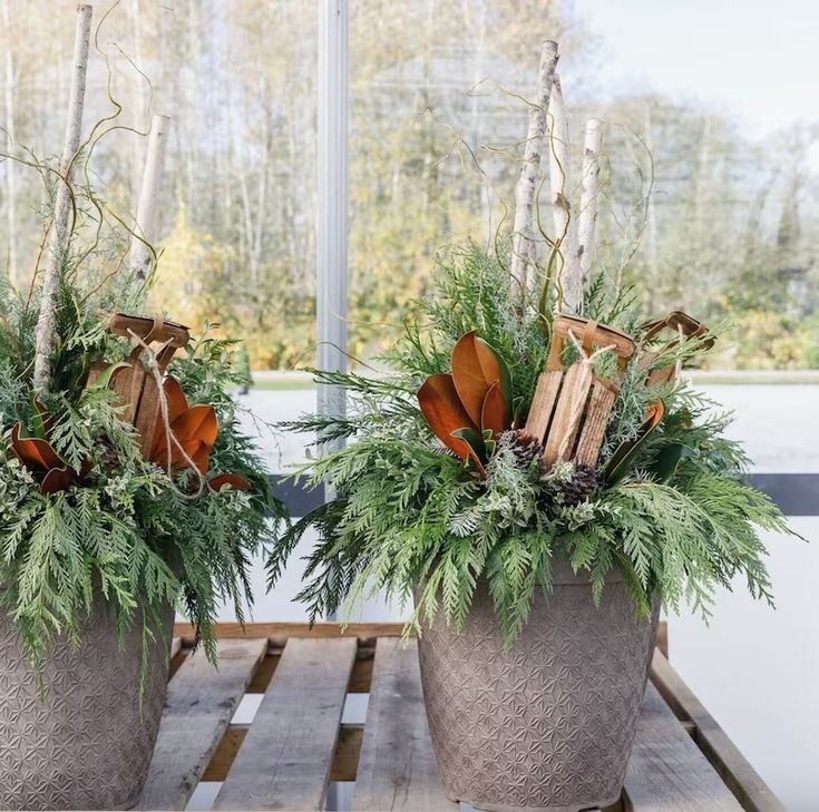 two potted plants sitting on top of a wooden table next to eachother