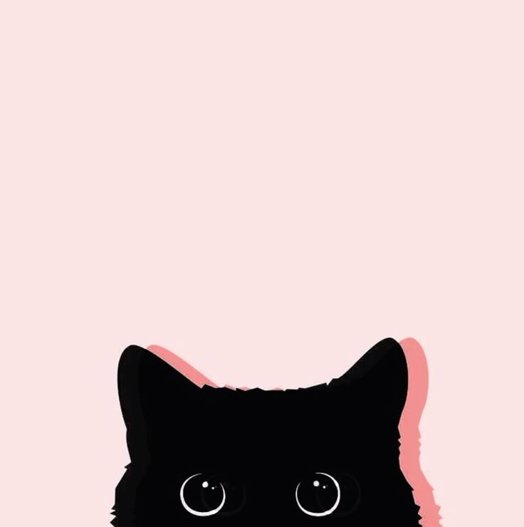 a black cat with big eyes on a pink background