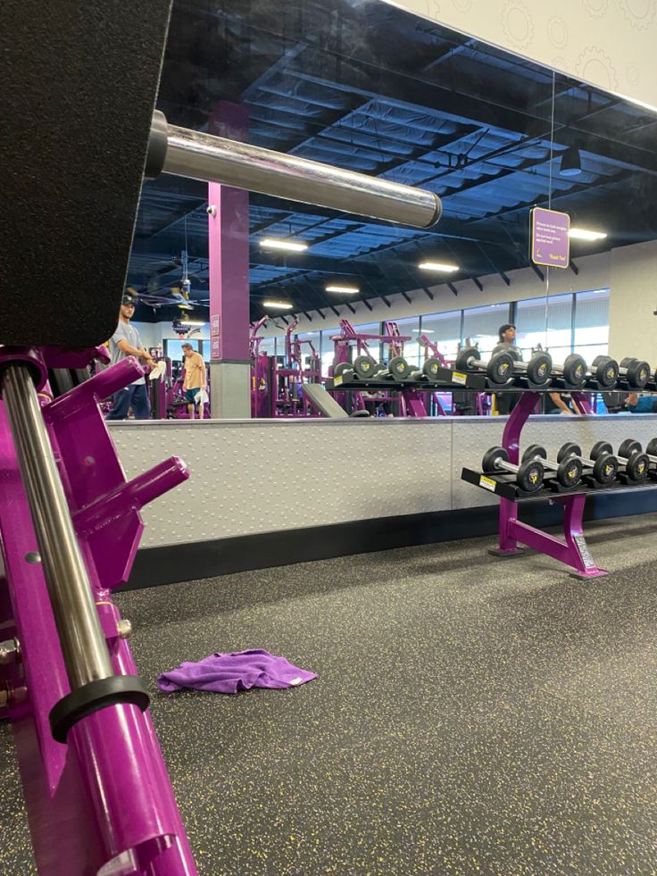 a gym with rows of dumbs and purple benches