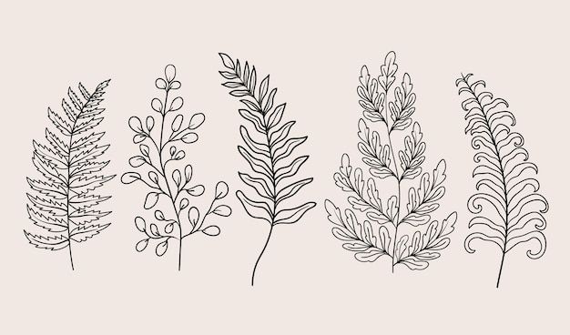 four different types of plants in black and white on a beige background with the words, `