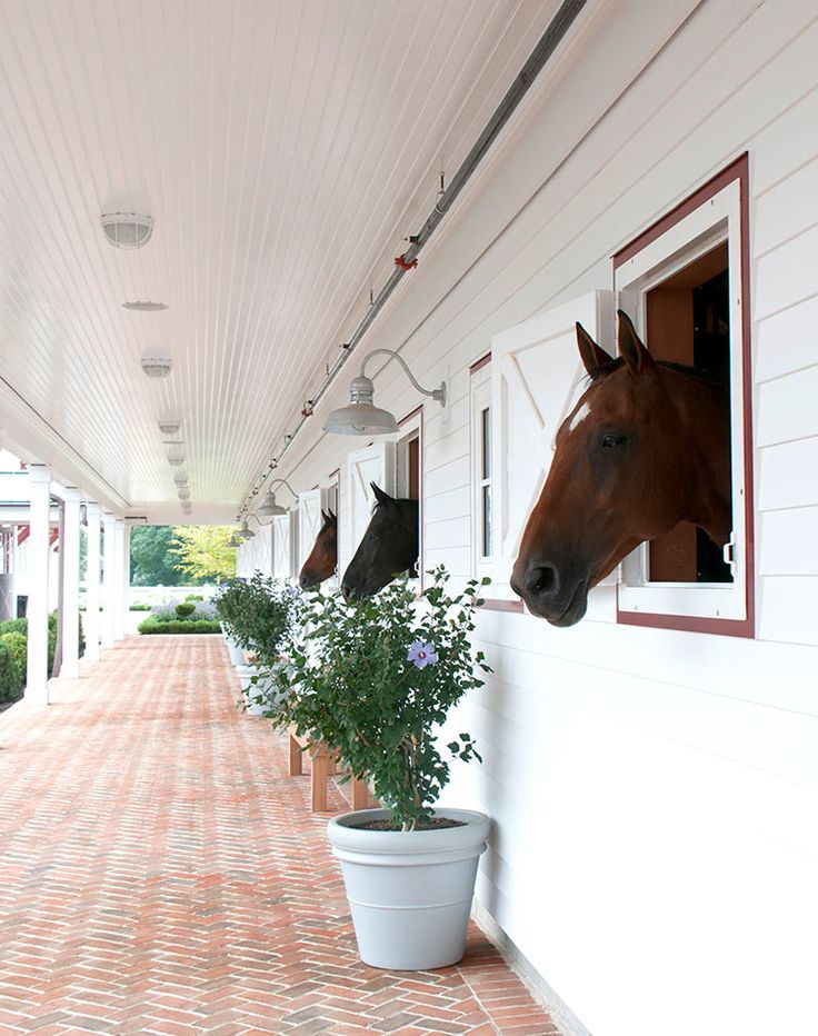 there are two horses that are looking out the windows on this house, and one horse is sticking its head through the window