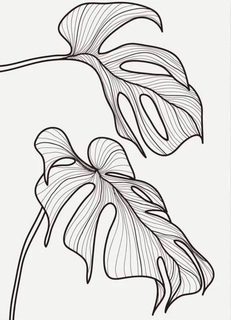 a black and white drawing of two leaves